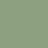 Цвет: RAL 6021